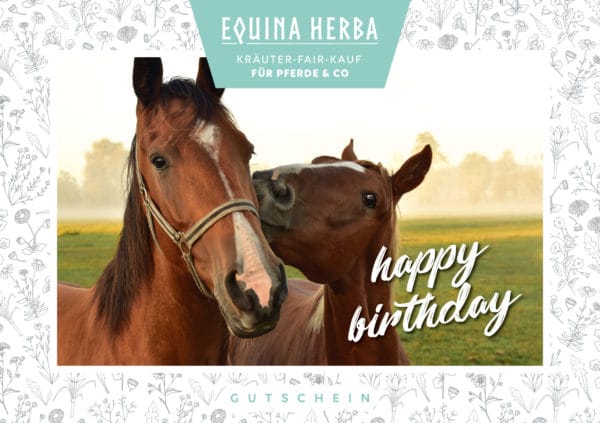 Equina Herba Gutscheine