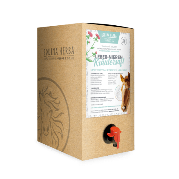 Leber-Nierenkräutersaft Bag in Box