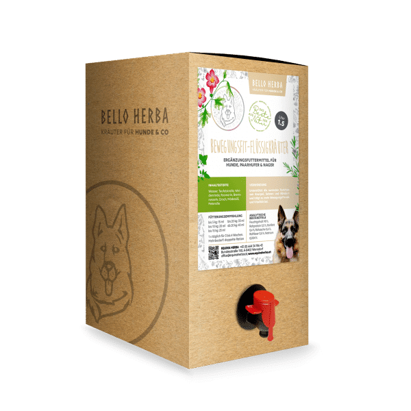 BELLO HERBA Bewegungsfitkräutersaft – Bild 2